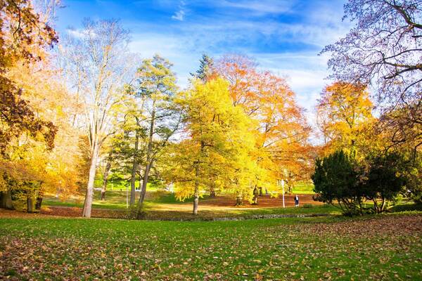 Park Střed